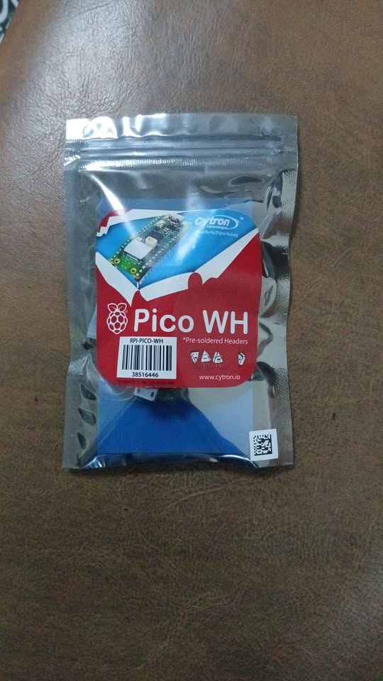 Raspberry Pi Pico W